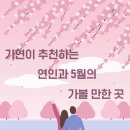 가연먹거리