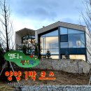 건지솔루션 | [양양 신년회 2편] 2026 엘티솔루션 신년회 / 양양 설해원 설해별담 독채 D 후기