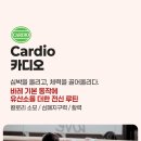 바레플로우