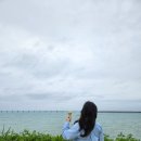 남극탐험아이스크림 네이버블로그