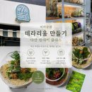 이끼상점 | 다산원데이클래스 남양주테라리움 만들기 후기