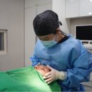 더헤어라인성형외과의원 이미지