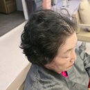 귀부인미용실 - 김제시 | 귀부인미용실