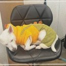 수헤어아트 이미지