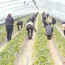 국민농장 이미지