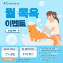 온니애견미용 이미지