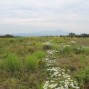 중문대포주상절리대 이미지