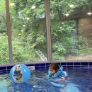 까사아미고 키즈풀빌라 이미지