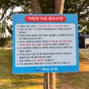 전남 여수 가볼만한 곳 장도, 물때 맞춰 들어가는 섬 애견동반 후기