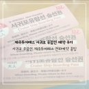 겨를 | [26‘제주] 제주투어패스 서귀포 유람선 예약 후기 꿀팁