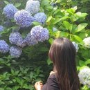 옛촌목장 이미지