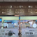 용인대잠원태권도 이미지