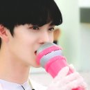 피키픽쳐스 이미지