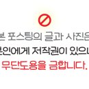수양옥 나주곰탕 이미지
