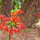 산호동136 이미지