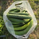 오이도 경로당 이미지