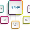 걷고 뛰고 젊어지고 예뻐지고 말문이 트이고 신체의 불편에서 자유를 이미지