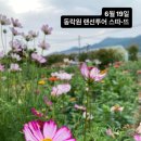 누리달아흐레