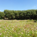 두류공원 이미지