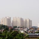 덕이내 이미지