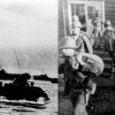 마리누스 이미지