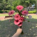 대성인쇄 - 고양시 덕양구 | 이담필름 경주야외웨딩스냅 촬영후기 내돈내산 대만족후기(with 경주꽃집 푸르르, 메이크업 망한후기)