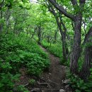산길 이미지