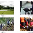 장전노루마을 이미지