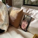요이 이미지