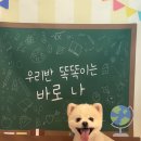 등교하개 이미지