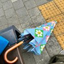 근로자의 날에 출근한 삼성 팬의 연등행렬 구경한 5월 초 일기