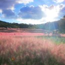 가산수피아 이미지