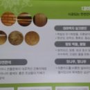 대마1리 이미지