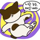 다니스튜디오