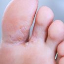 토우의원 이미지