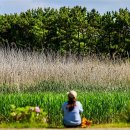 테마투어(해양생태 체험) 이미지