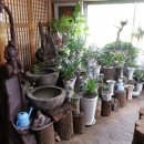 풍암농장 이미지