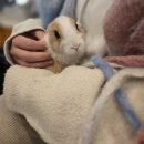 남원읍-31 | [제주]아이랑 가볼만한곳:내돈내산 새별프렌즈,유진팡,보내다제주 후기