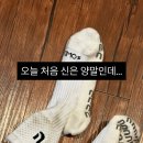 경기도 수원시 장안구 파장천로11번길 이미지