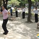 라인댄스(낮) 이미지