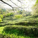 두륜산도립공원 관리사무소 이미지