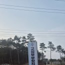 부부횟집 | 고성 물회 맛집 여전했던 고성부부횟집 포장 후기