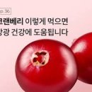 방광염에 좋은 크랜베리 효능 부작용 이미지