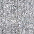 정원김치 이미지