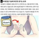 바세린............ 가슴에 바르면 커진다?! 이미지