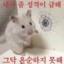 앰퍼샌드 - 화성시 동탄대로5길 15 | 몰디브 라야앳모스피어 리조트 올인클루시브 (앰퍼샌드)Ampers&nd & Sunset Bar 런치 코스요리 후기