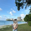 씨유양산남부퍼플점 | #2 괌 태교여행🖍️ | 20주 임산부 | 괌남부투어 | 괌마이크로네시아몰 | 괌 고디바 | 괌 웬디스버거