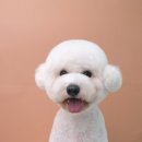 나봄스파 이미지