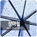 진영헤어살롱