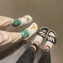 김민소학원 | 떠나요~ 제주도~ ✈️🍊